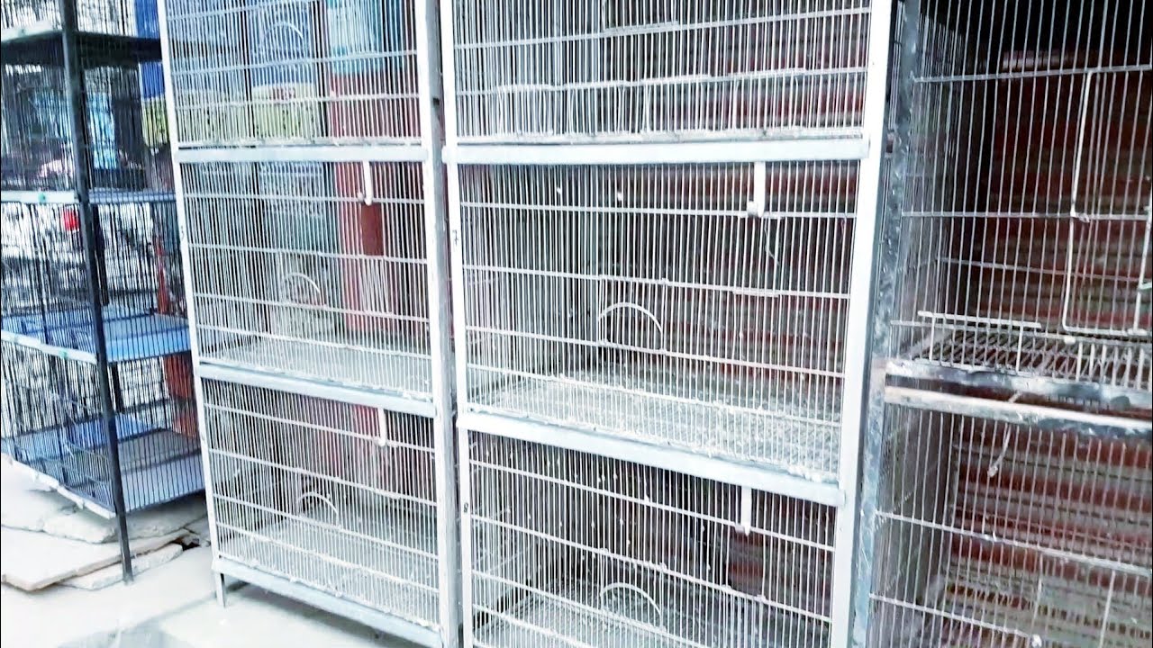 Used Cage in Cheapest | Cage Shop