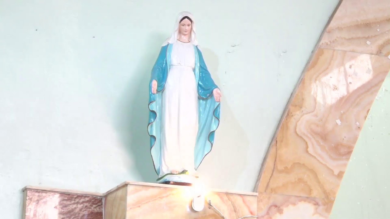 HOLY MASS - DIVINE MERCY CATHOLIC CHURCH SELF HELP GROUP 2026 - 7TH MARCH 2026