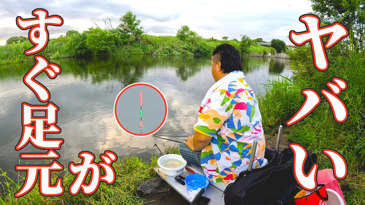 すぐ足元の岸際にエサを落としたらヤバかった
