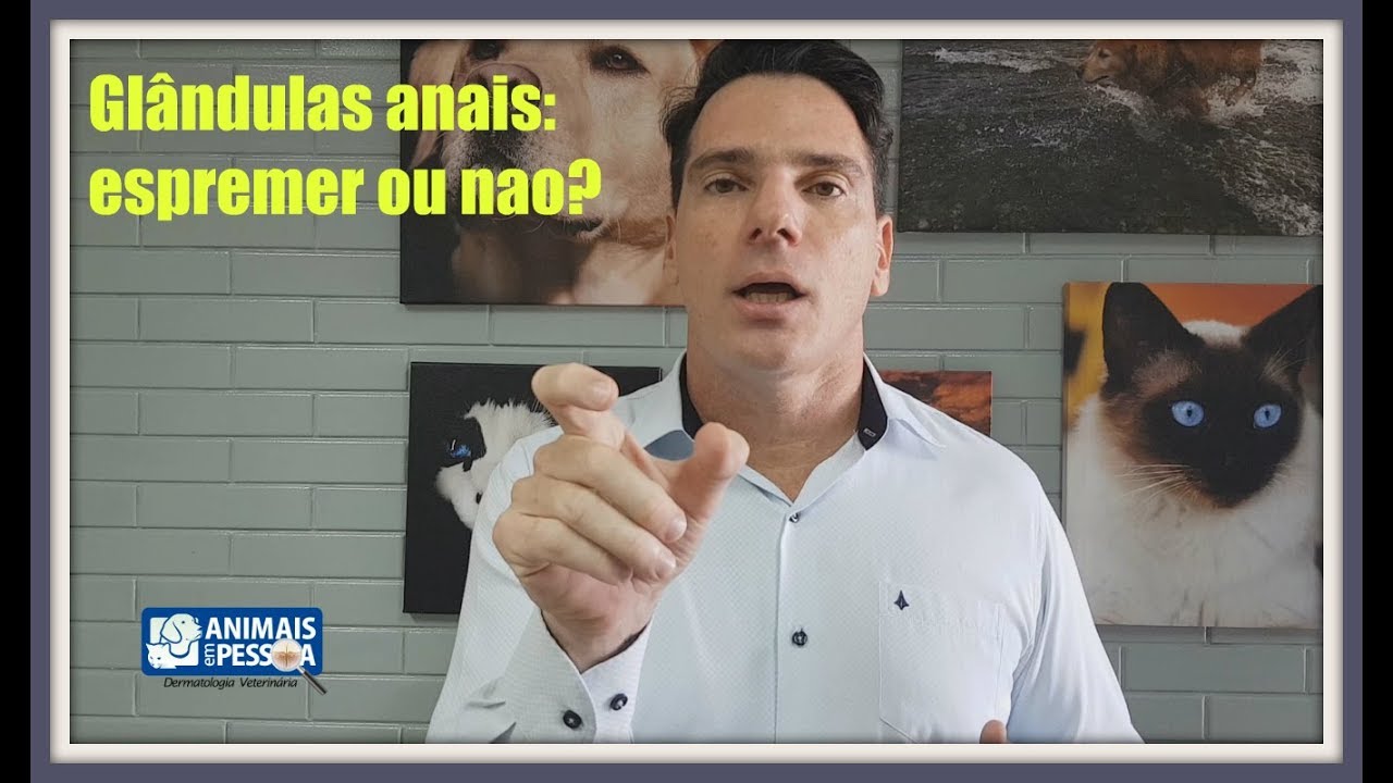 É correto espremer as glândulas anais?