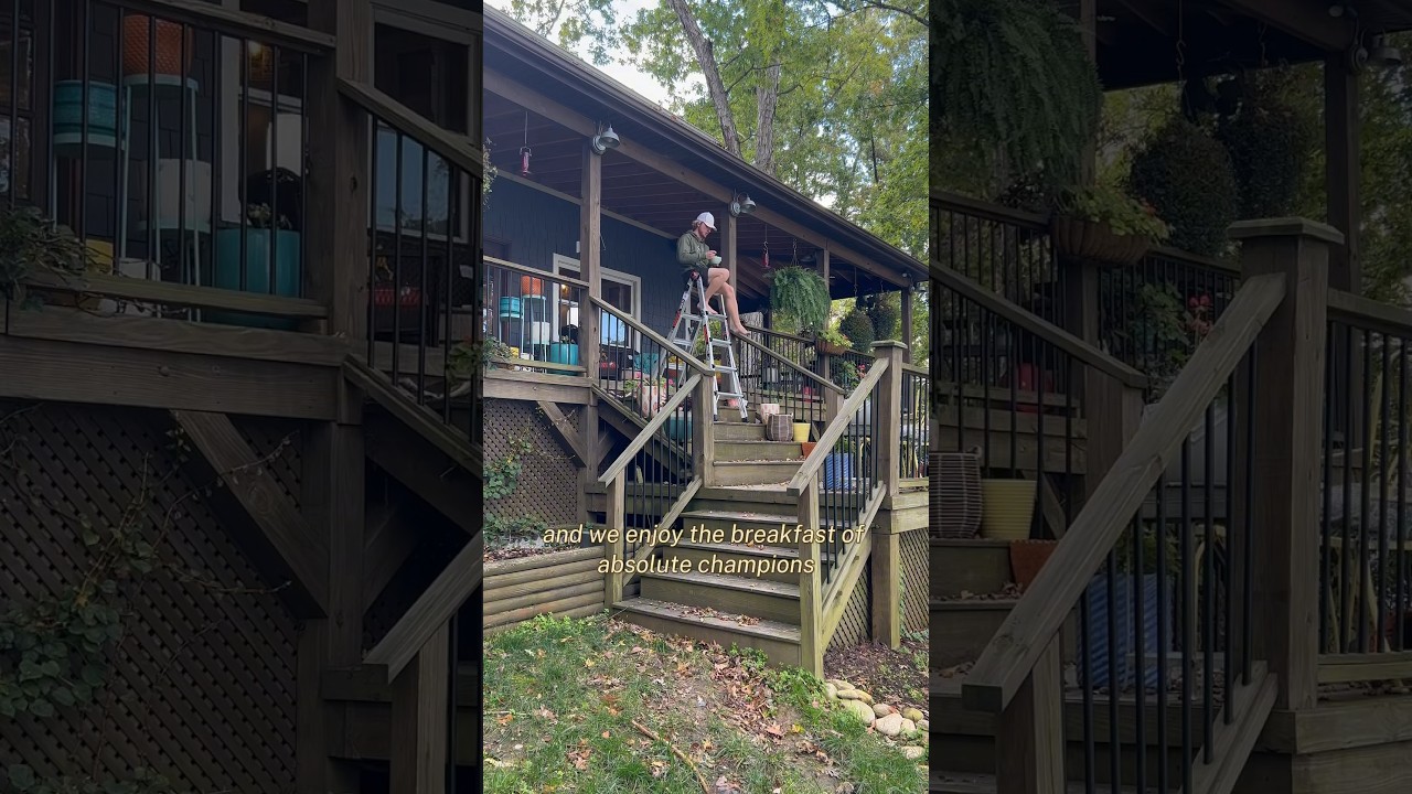 Life of a blue collar dad isn&rsquo;t that bad&hellip; #foryou #funny #funnyvideo #viral #woodworking #dad
