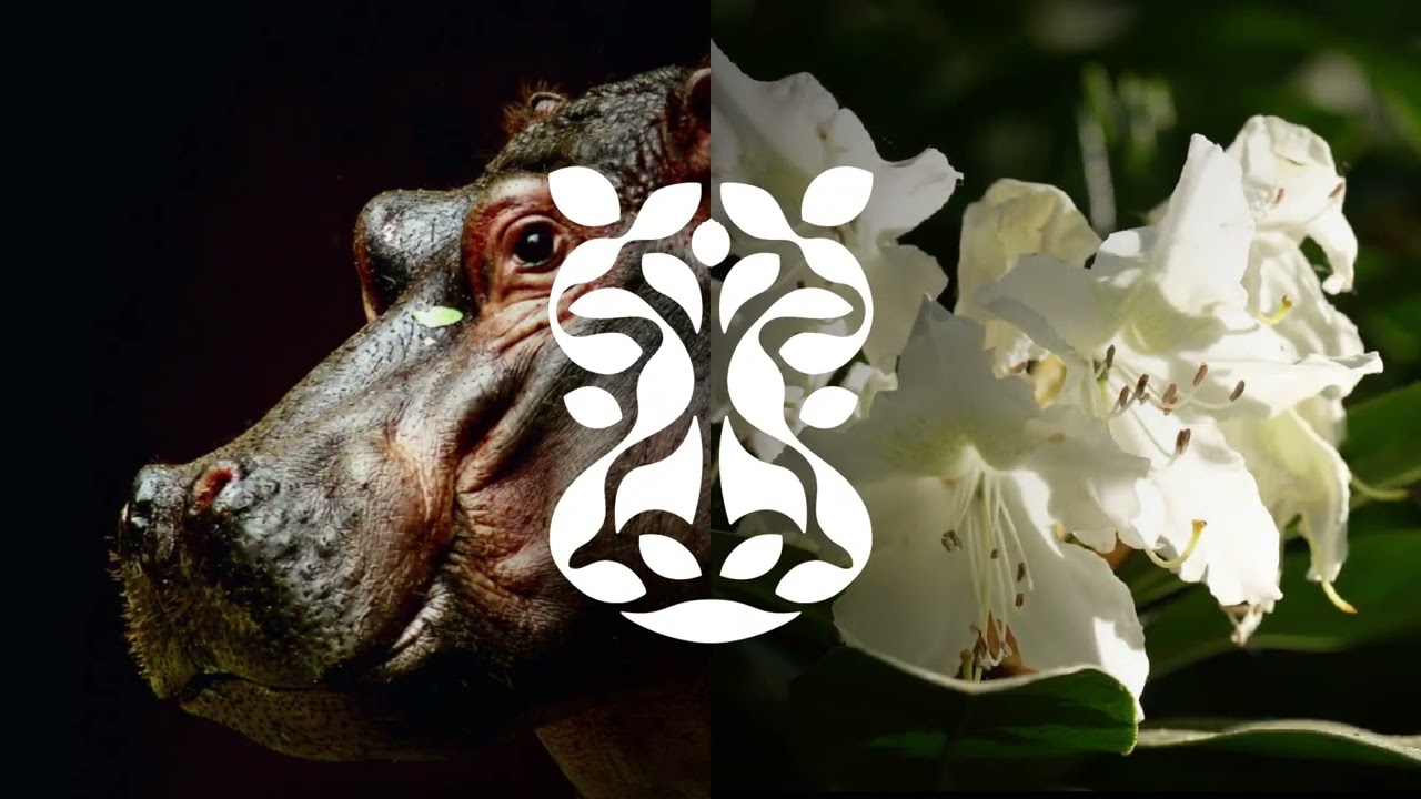 Zoo Ostrava mění po téměř dvou desetiletích svou vizuální identitu a logo