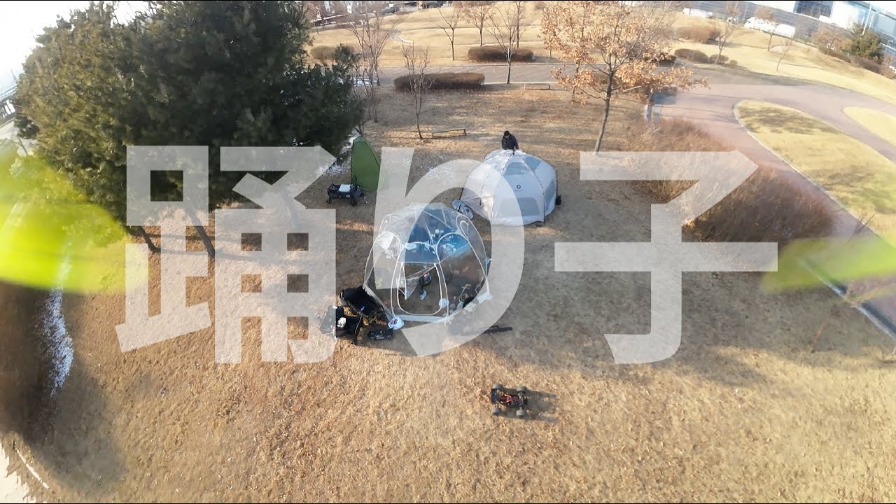 무희
