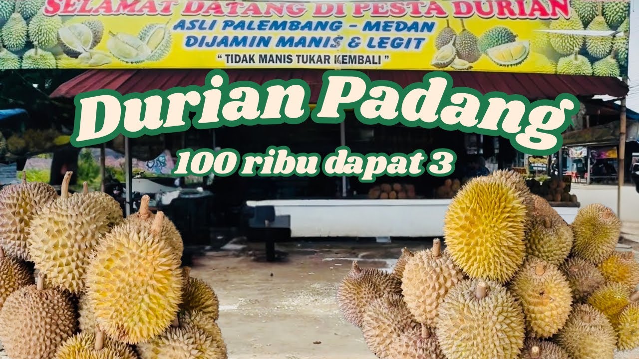 Durian Lokal Padang, HARGA MURAH, rasa bikin mempesona 😍