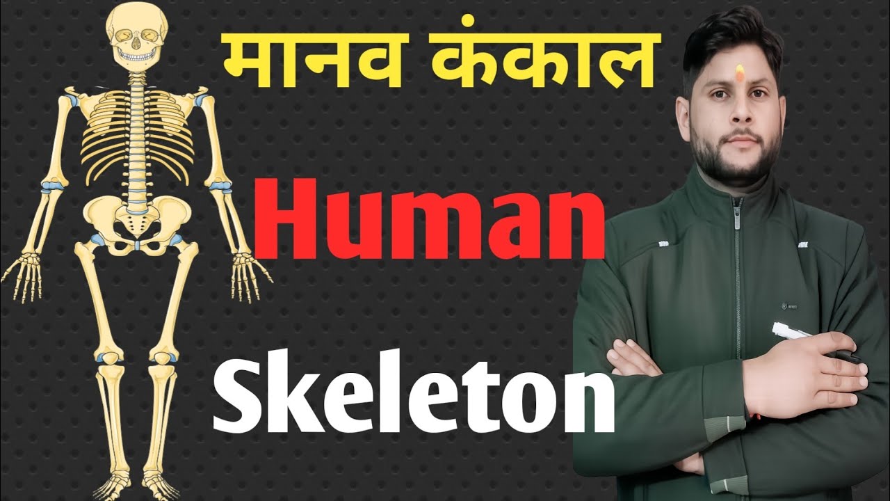 मानव कंकाल तंत्र (Human Skeleton) | Complete Explanation