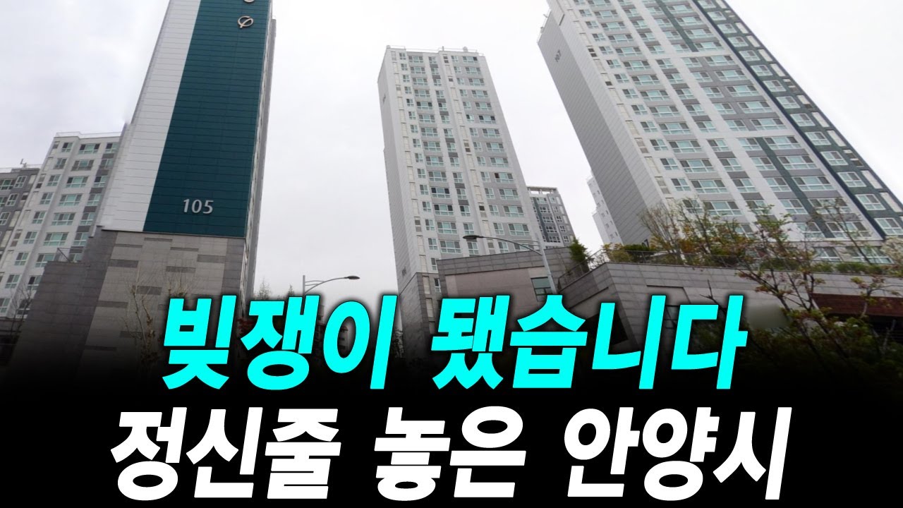 빚쟁이 됐습니다 정신줄 놓은 안양시