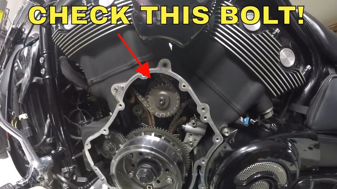Fixing the DREADED Stator Wire Oil Leak and addressing the Triple Sprocket Issue on the Night Rod