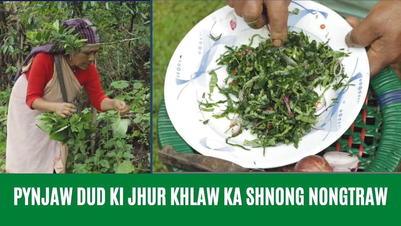 PYNJAW DUD KI JHUR KHLAW KA SHNONG NONGTRAW