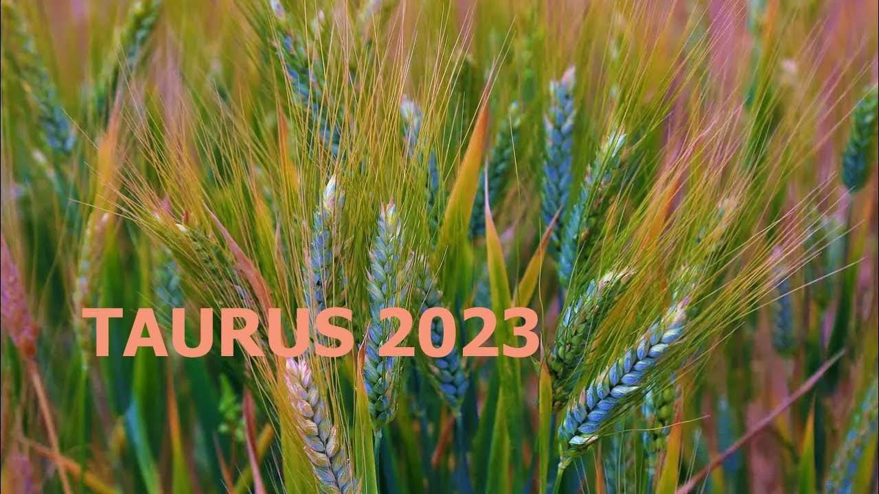 TAURUS 2023