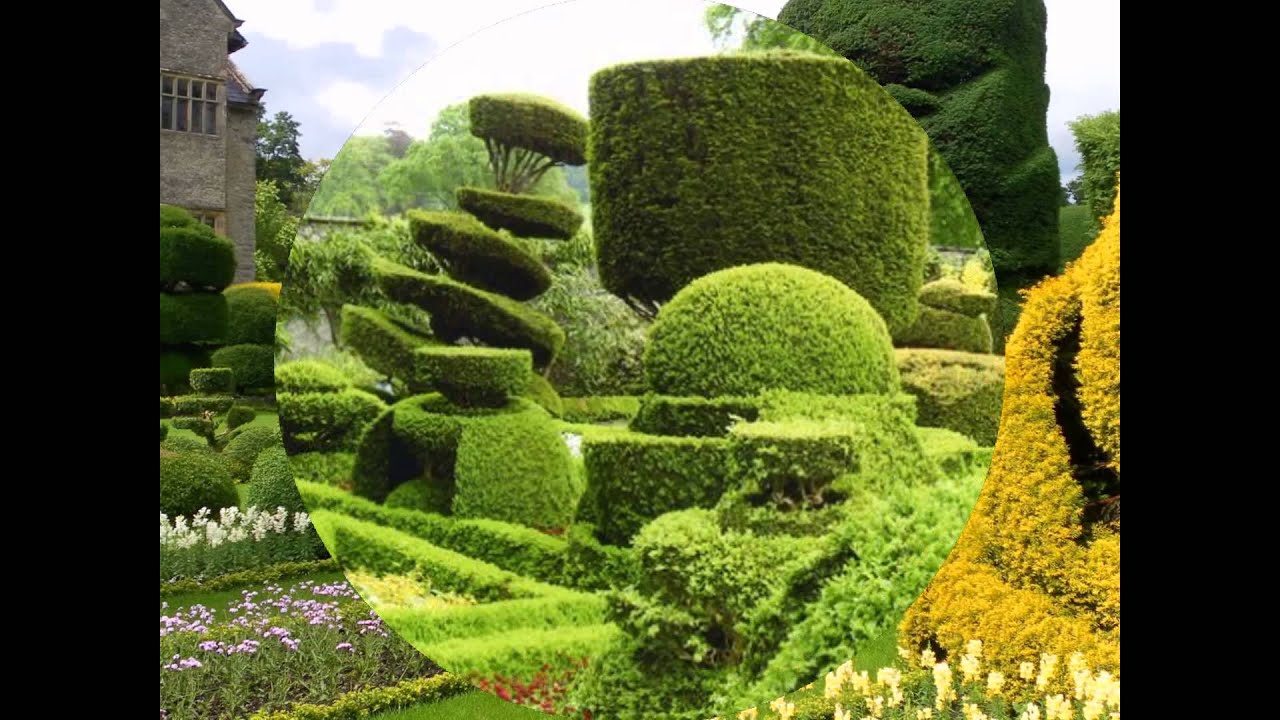Arte Topiario. HD-3D. Arte y Jardiner&iacute;a Dise&ntilde;o de Jardines.
