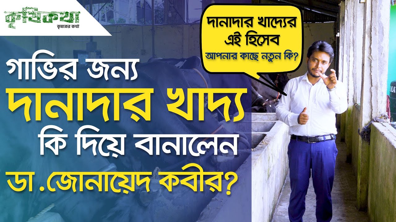 গাভির জন্য দানাদার খাদ্য কি দিয়ে বানাবেন ?| কৃষিকথা | Krishikotha |পর্ব ৯৮ |Episode 98