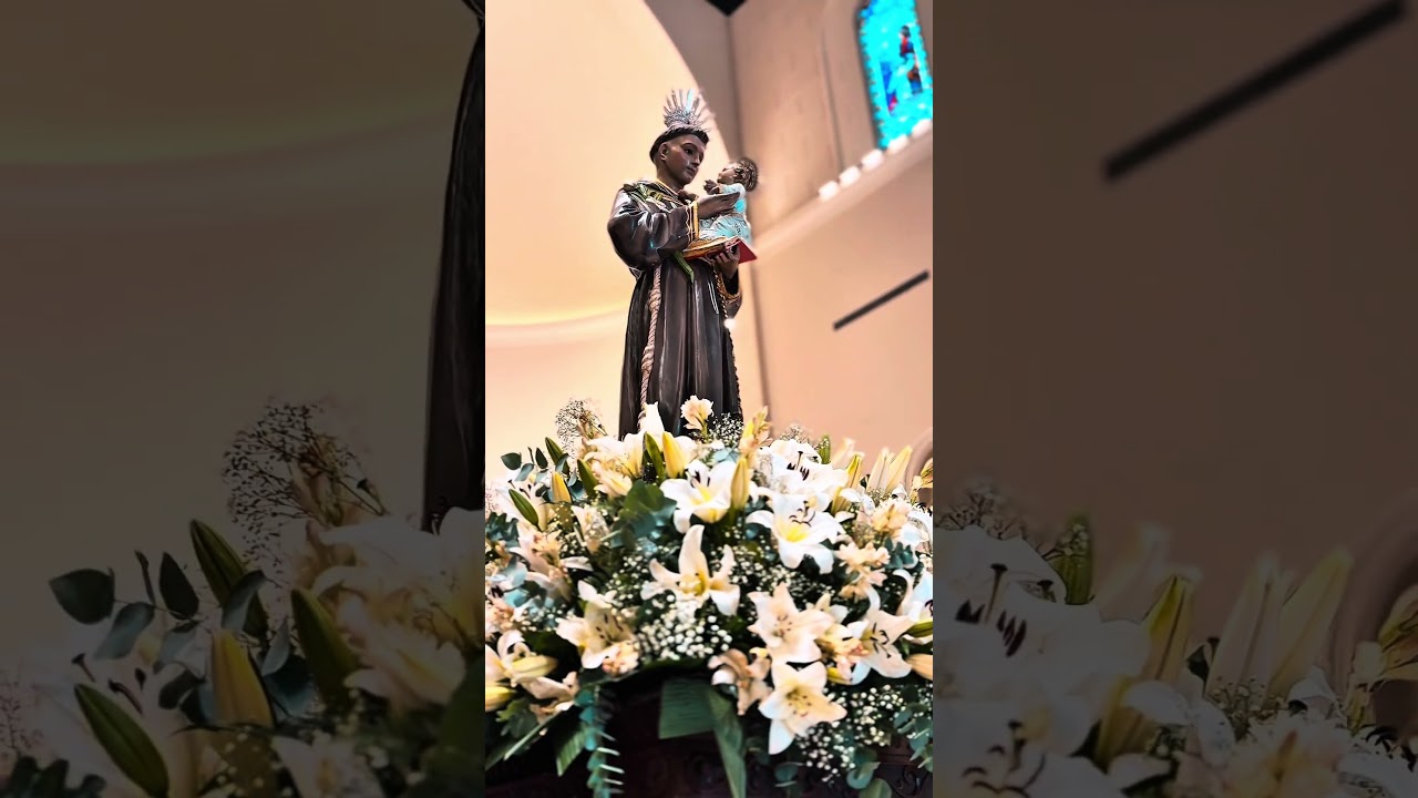 Como estamos lidando com as vontades de Deus em nossa vida?