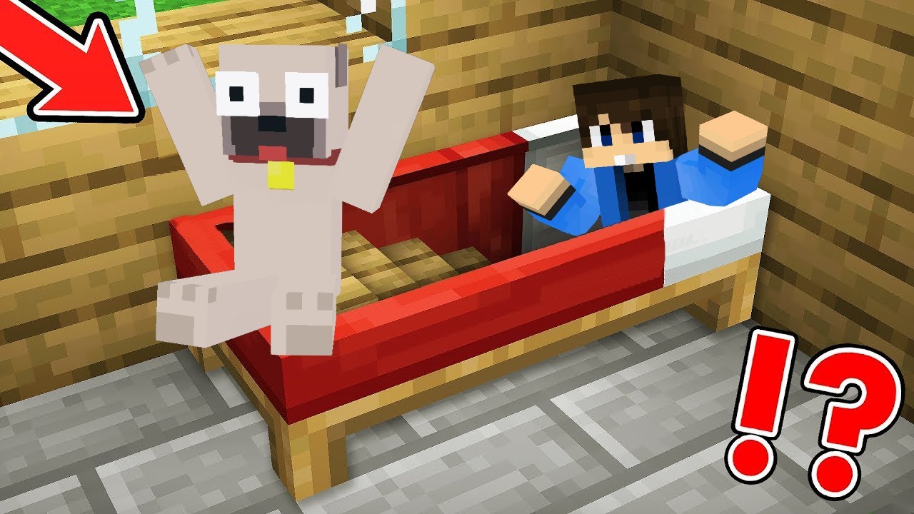 DANI REJTETT BÁZISA KIIS ÁGYÁBAN A MINECRAFTBAN!