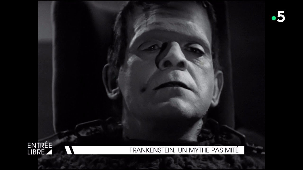 Frankenstein, un mythe pas mité