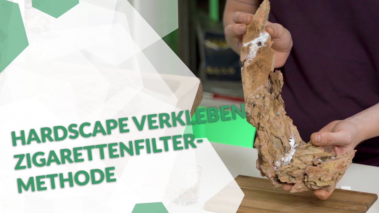 Hardscape im Aquarium verkleben - wir haben die Lösung, die Zigarettenfilter Methode