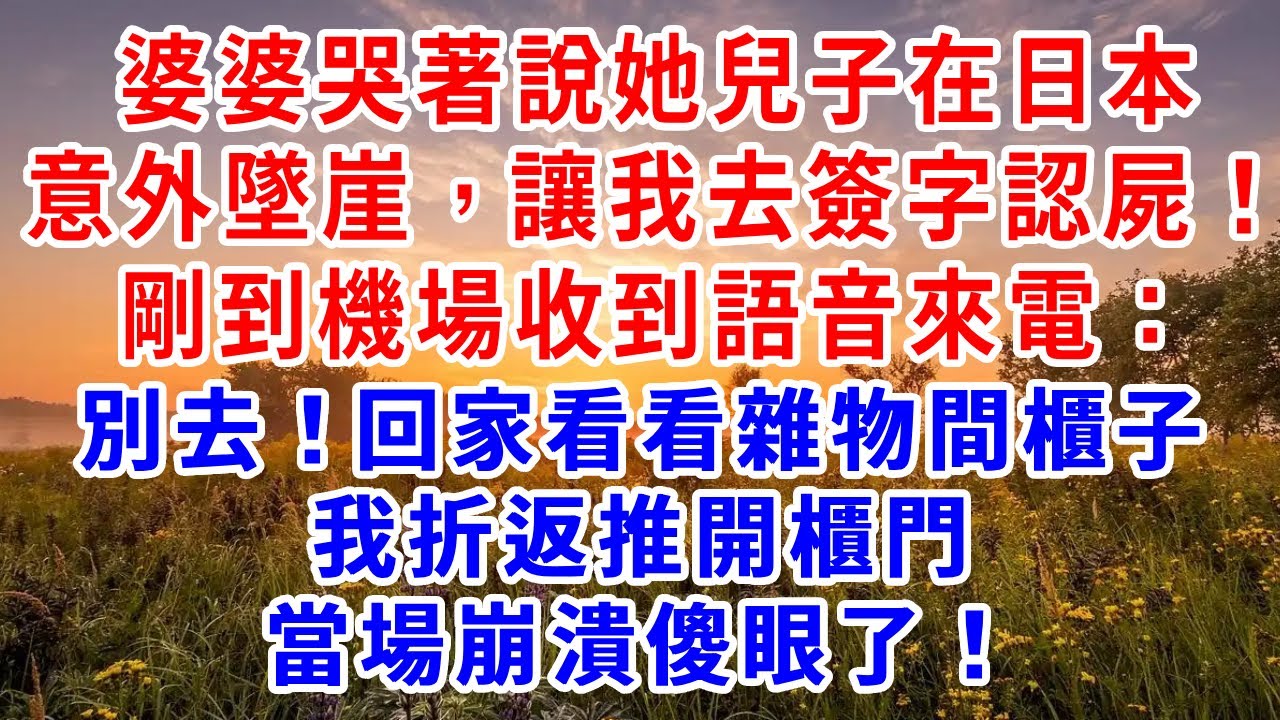 婆婆哭著說她兒子在日本意外墜崖，讓我去簽字認屍！剛到機場收到語音來電：別去！回家看看雜物間櫃子。我折返推開櫃門，當場崩潰傻眼了！