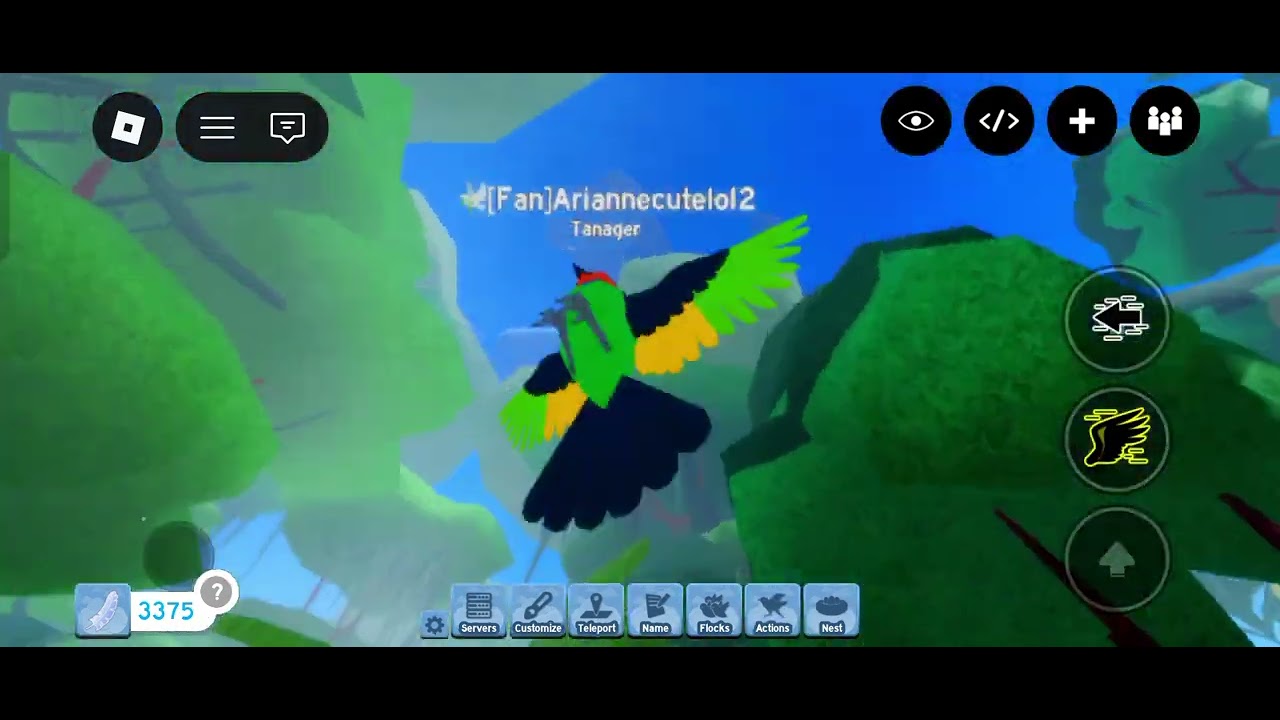 Showcasing the new bird (Red Necked Tanager and Honeycreeper Tanager) 