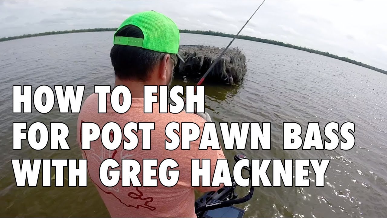 Советы Грега Хакни по рыбалке после нереста