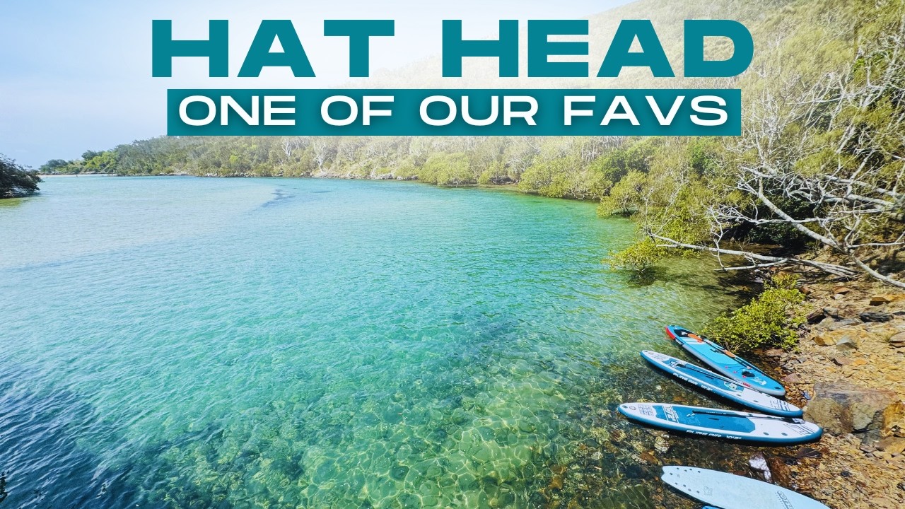HAT HEAD NSW | POINT PLOMER TRACK, KOROGORO CREEK & MORE