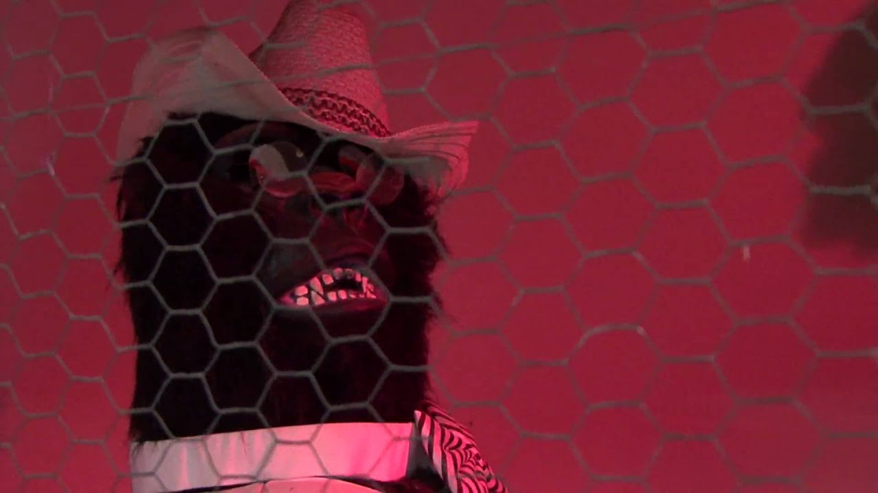 Singing Sam the Gorilla Man