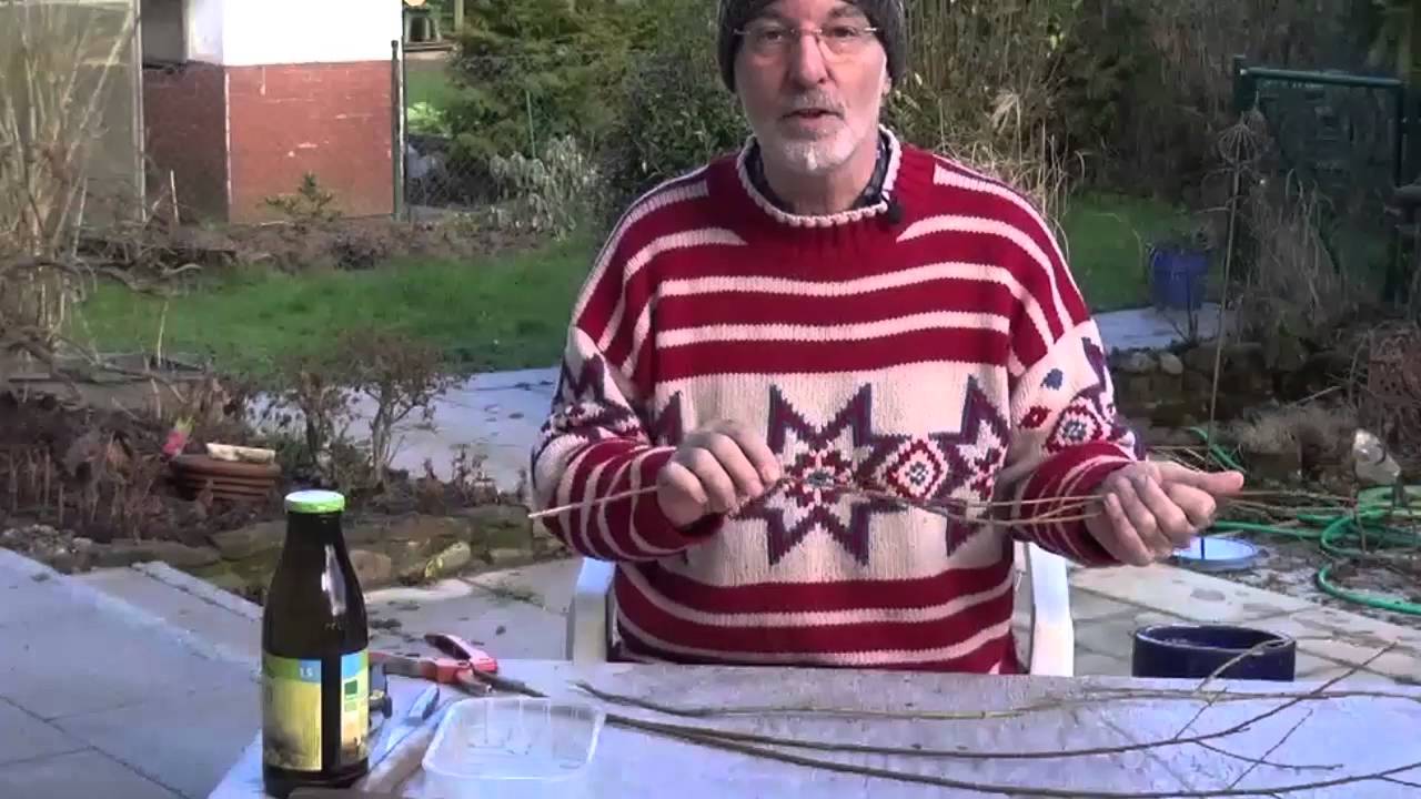 Rosengold Weidenwasser herstellen