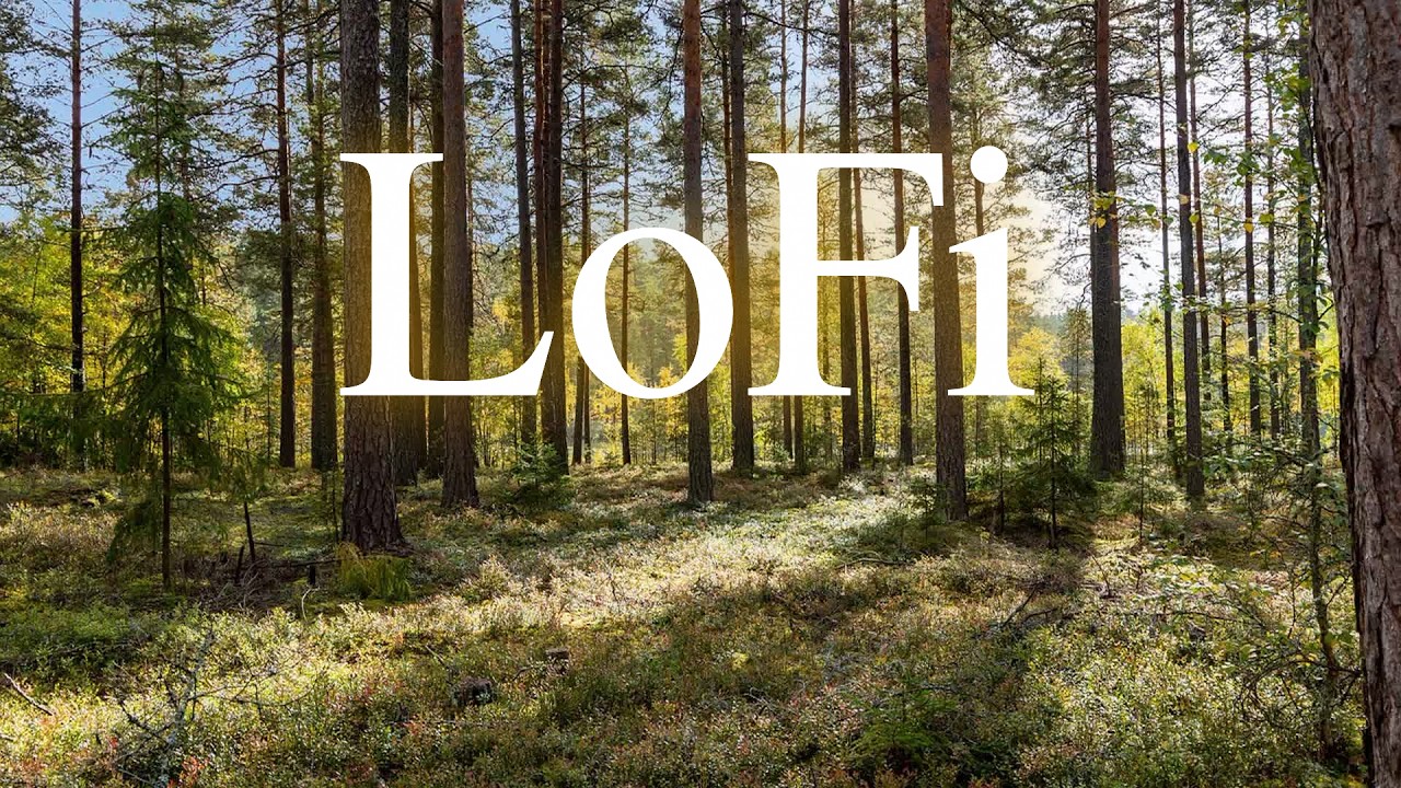 Quiet Forest Lofi 🍃 Chill Beats for Studying and Night Relaxing
