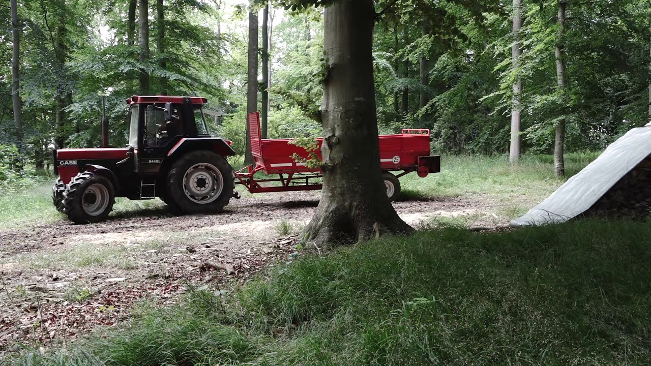 Ich und mein Holz