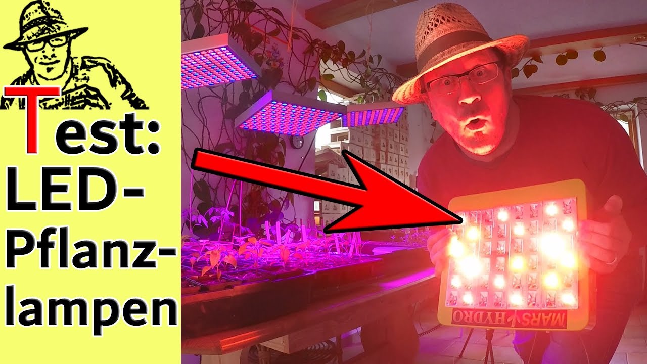 Teuer oder reicht billig? Vergleichstest LED-Anzuchtlampen