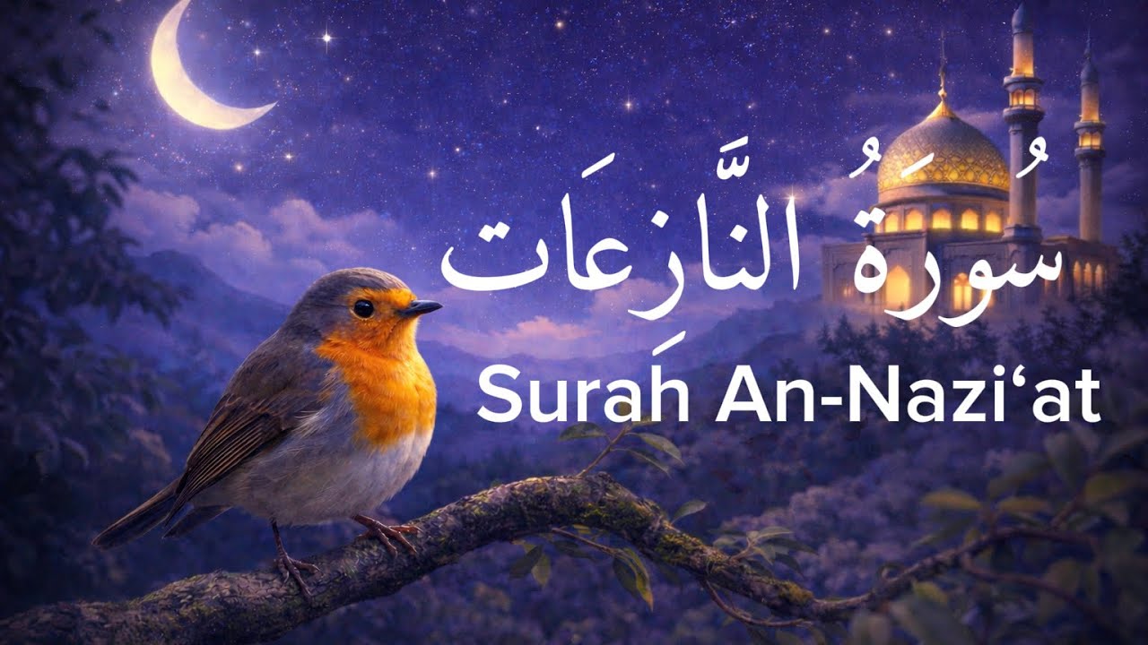 | Sura An-Naziat | سورة النازعات | Mahmud Huzaifa Quran Reflection & Peaceful Listening