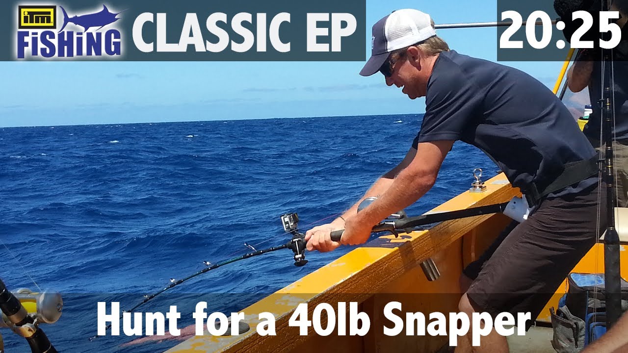 Hunt for the 40lb snapper