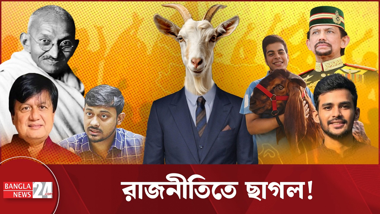 রাজনীতিতে ছাগল বা, ছাগলের রাজনীতি । Goats in politics । Unfolded
