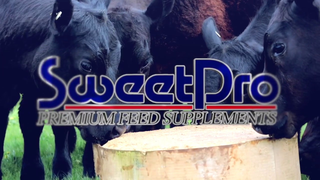 SweetPro-Australia-Cattle-Lick-&-Supplement-Advert