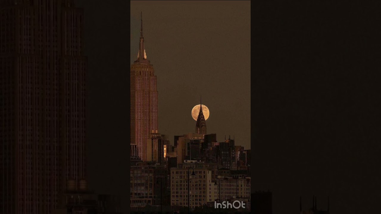 One blood- In my dreams