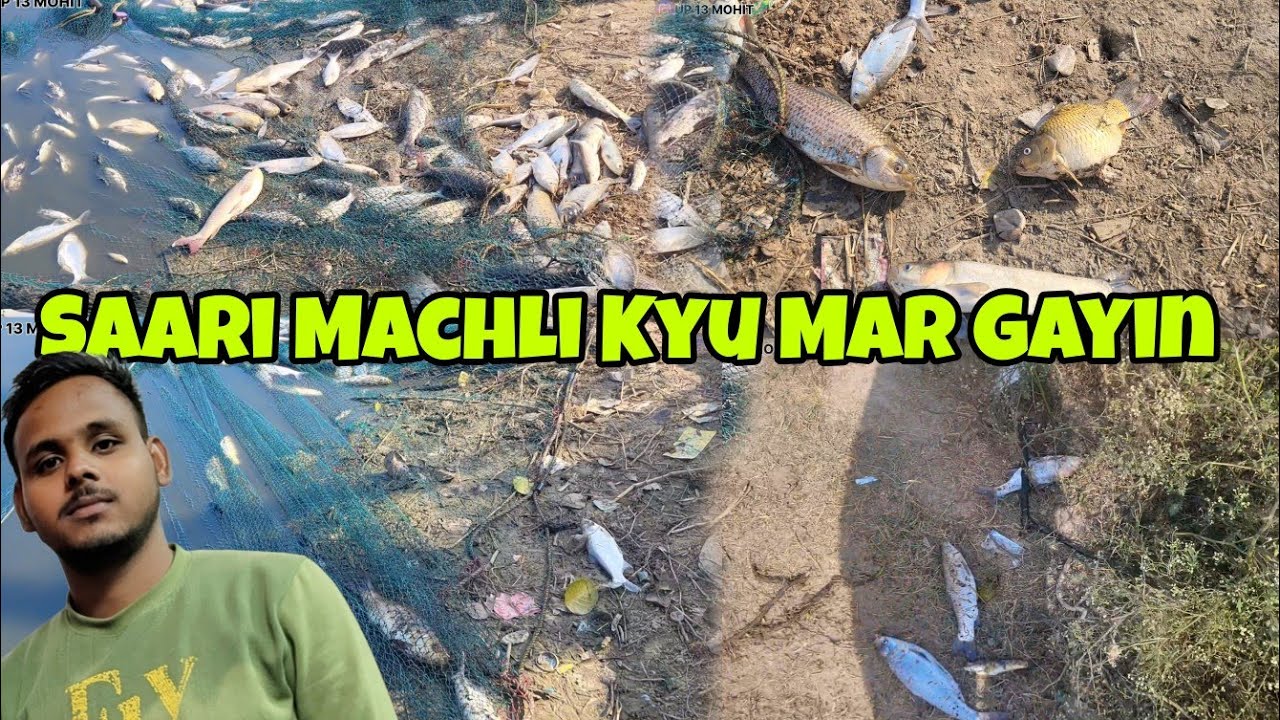 Machli Kyu Mar Gayin| Fish Farm | Daily Vlog 