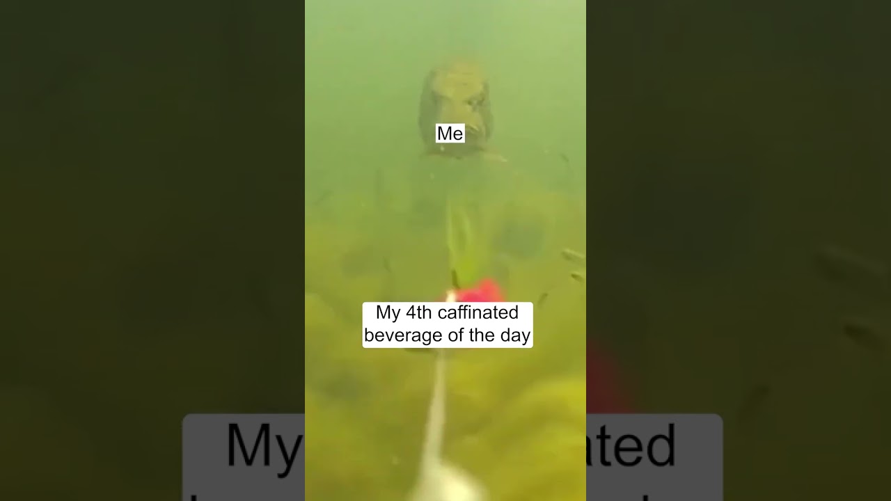 And there isn't a damn thing that can stop me