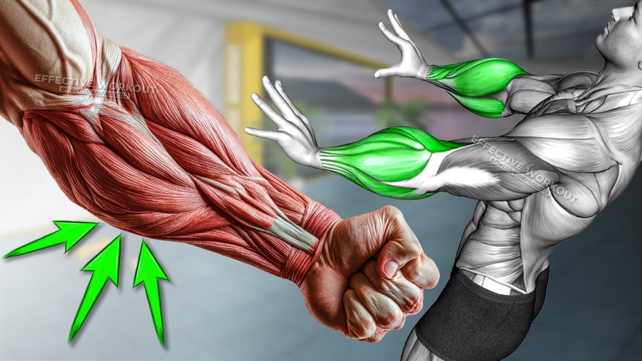 10 BEST Exercises for Bigger Forearms Workout