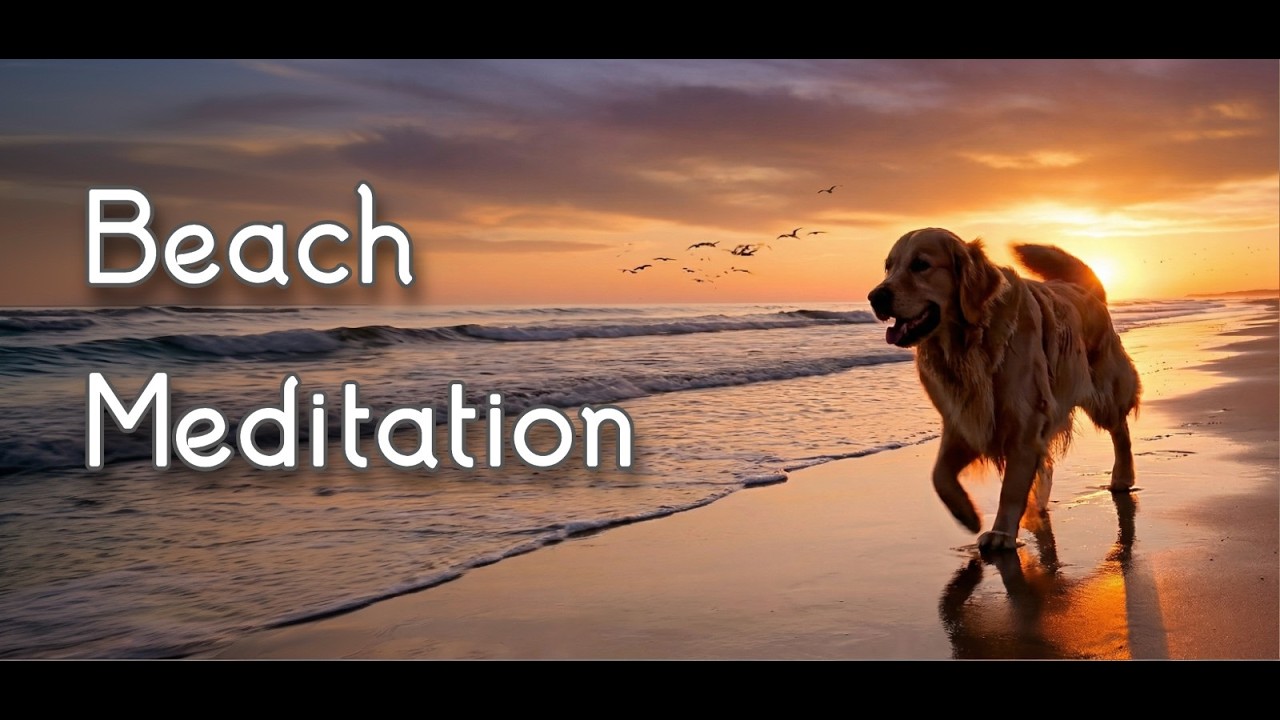 Sunset Beach Meditation: Labrador & Relaxing Music 🌅🐕😌🌊✨🎧