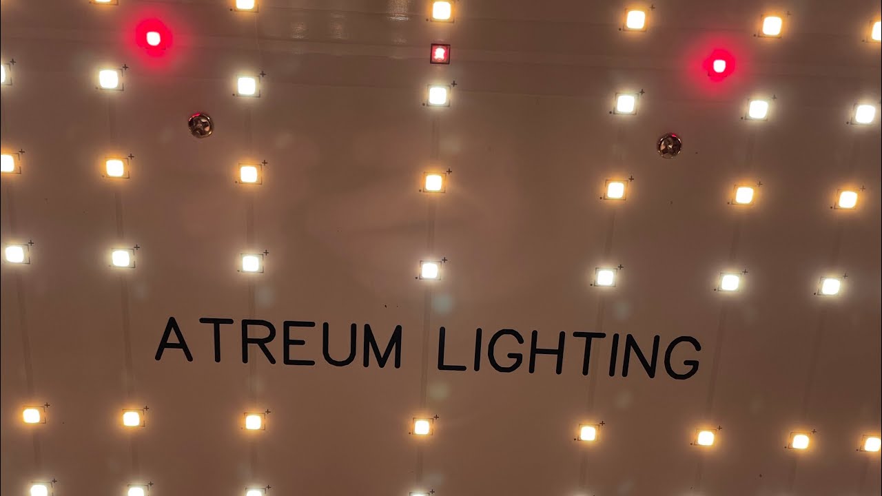 Atreum Lighting 100w - budget grow light review - Par test