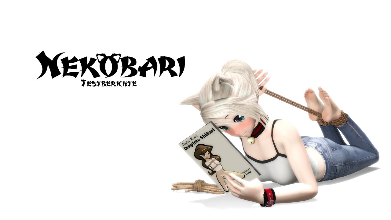 Complete Shibari Vol. 1 Review/Testbericht