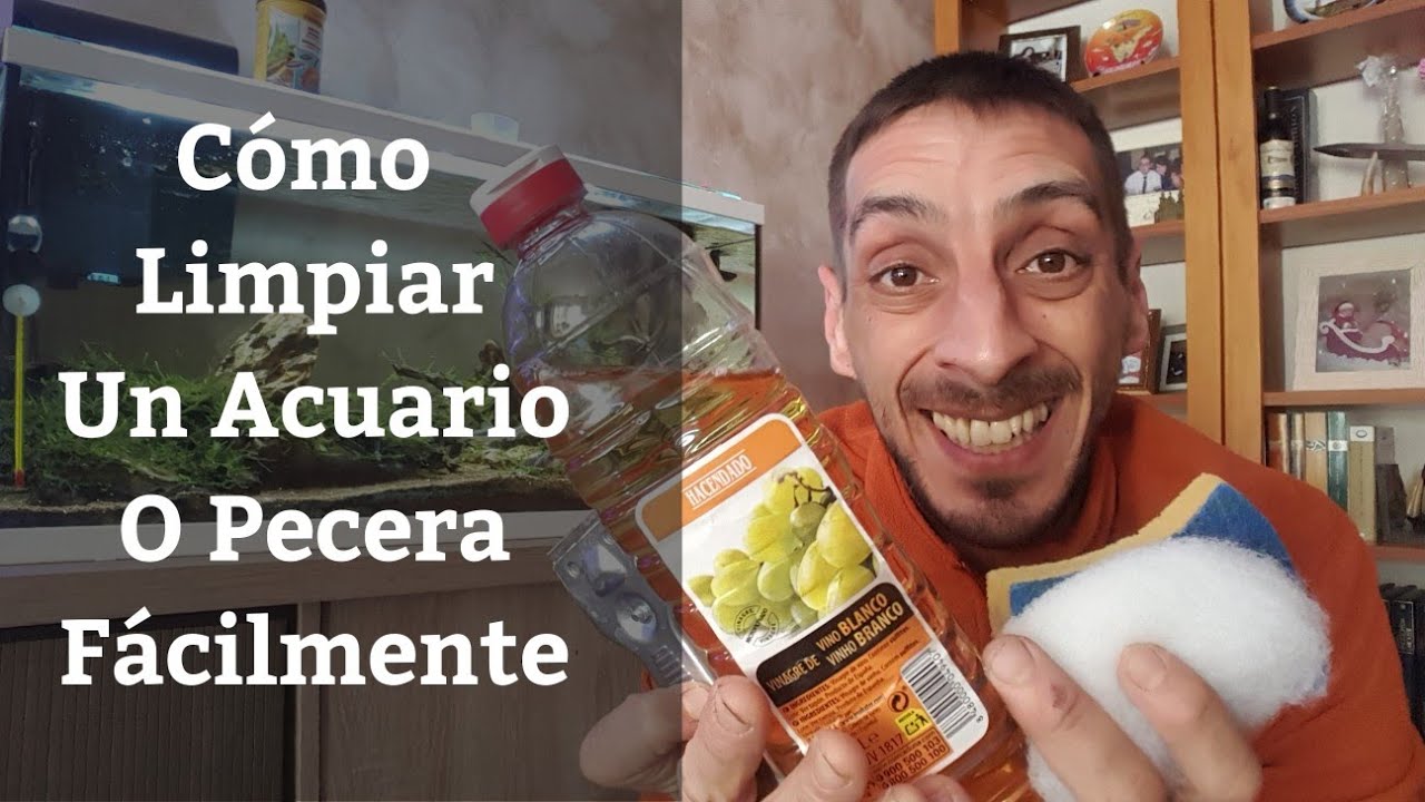 🔵 Como Limpiar Una Pecera O Acuario De Una Manera Fácil (Acuarios MB)
