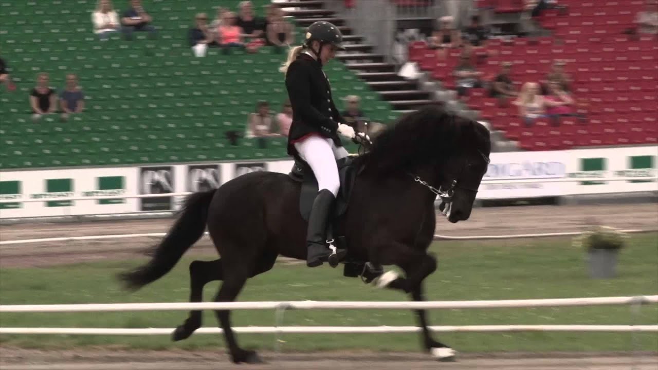 Frauke Schenzel, V1 prel, WC Icelandic Horses, Islandpferde-WM, VM Islandsh&auml;star, 2015