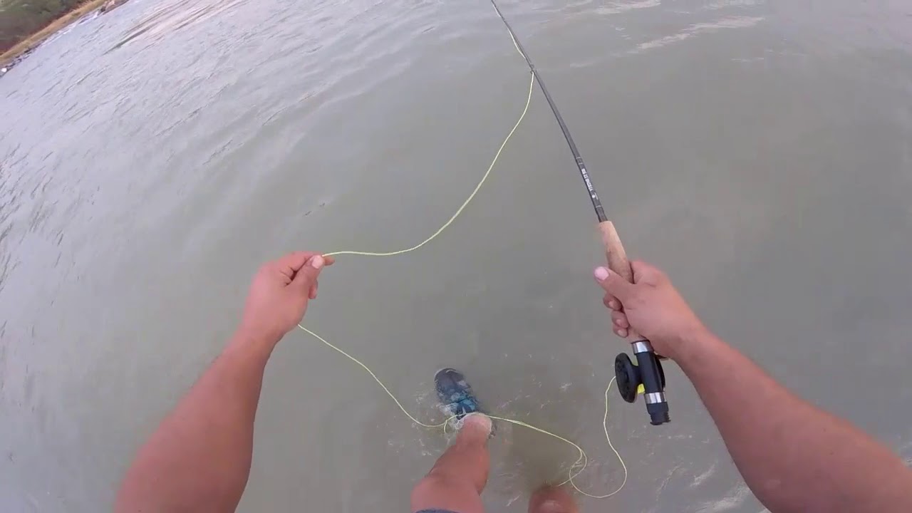 Yellow fish fly fishing, orange river 2 in 7 min.