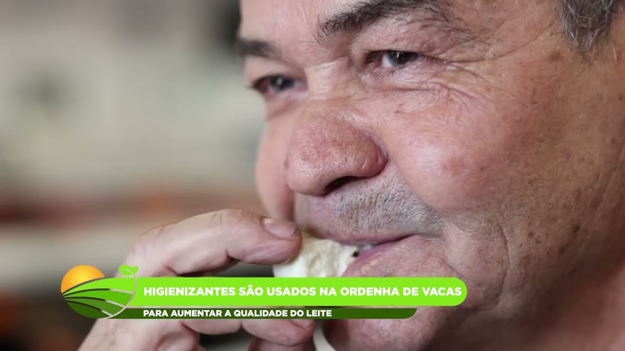 Pesquisadores criam higienizantes naturais para a produção de leite