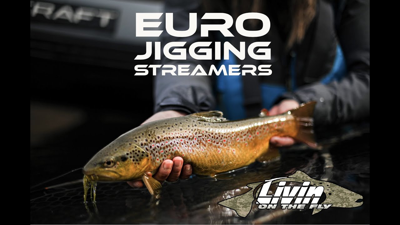Favorite Rigs and Tips for Euro Jigging Streamers