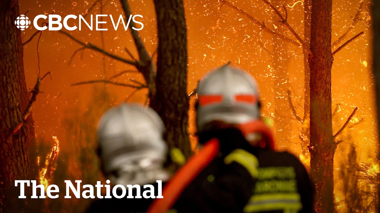 Inside France's battle to save Bordeaux from unprecedented wildfires