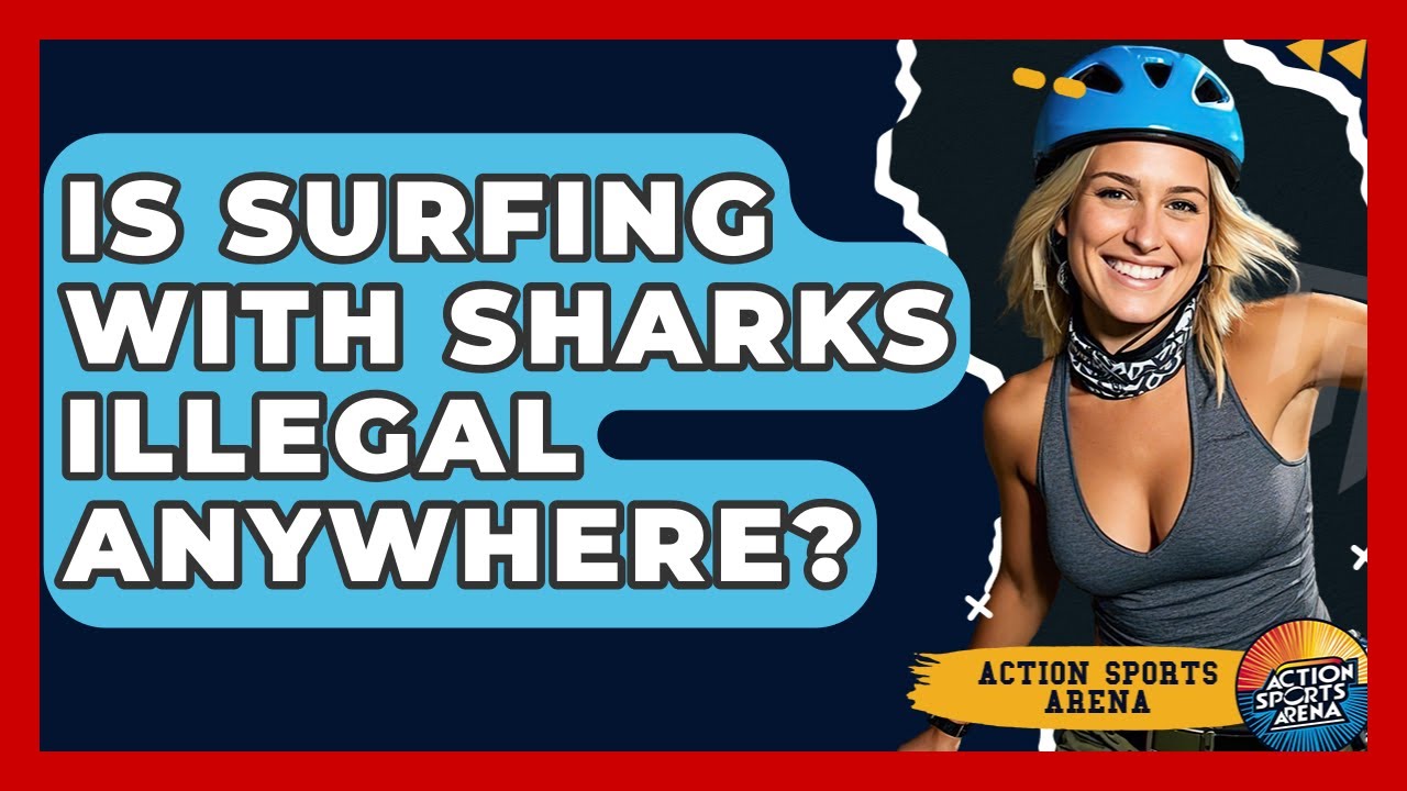 Is Surfing With Sharks Illegal Anywhere? - Action Sports Arena