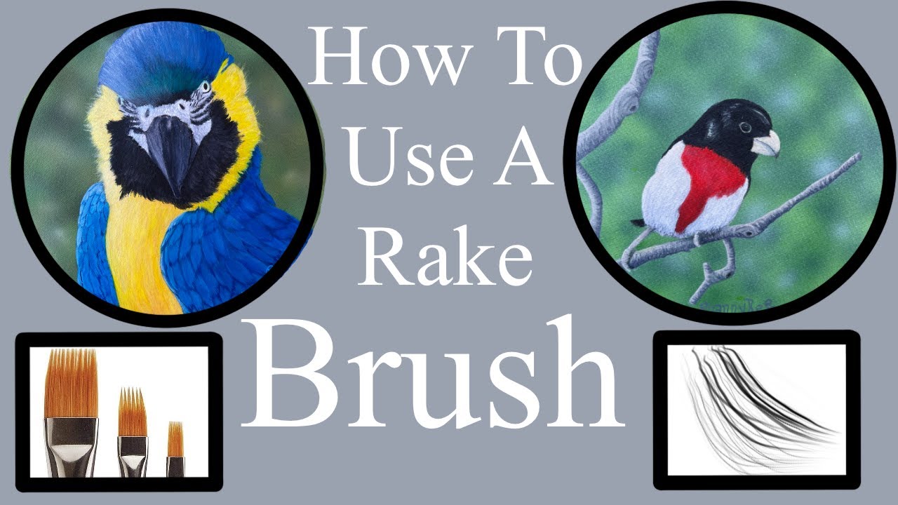 How To Use A Rake Brush For Beginners