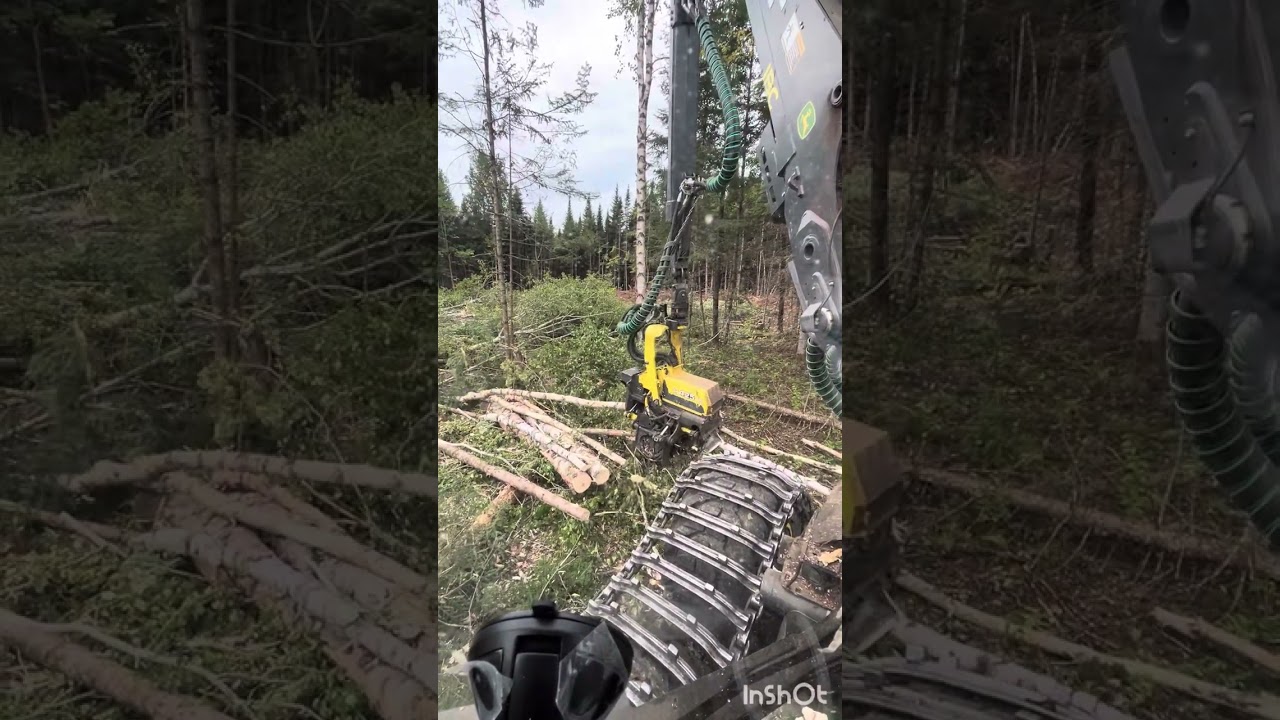 Cutting for quality. How to operate a harvester!