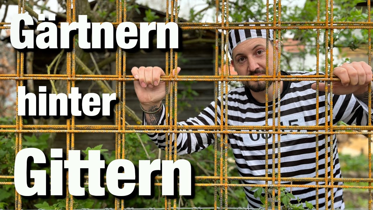 Horizontal Gärtnern, Baustahlmatten im Garten nutzen, Rosenbogen
