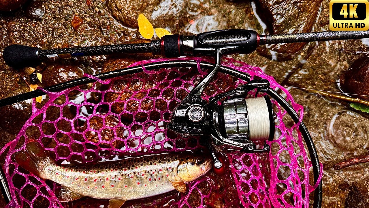 Graphiteleader FINEZZA PROTOTYPE 2024 [24GFINPS-722L-S]. Prezentare + Testare.